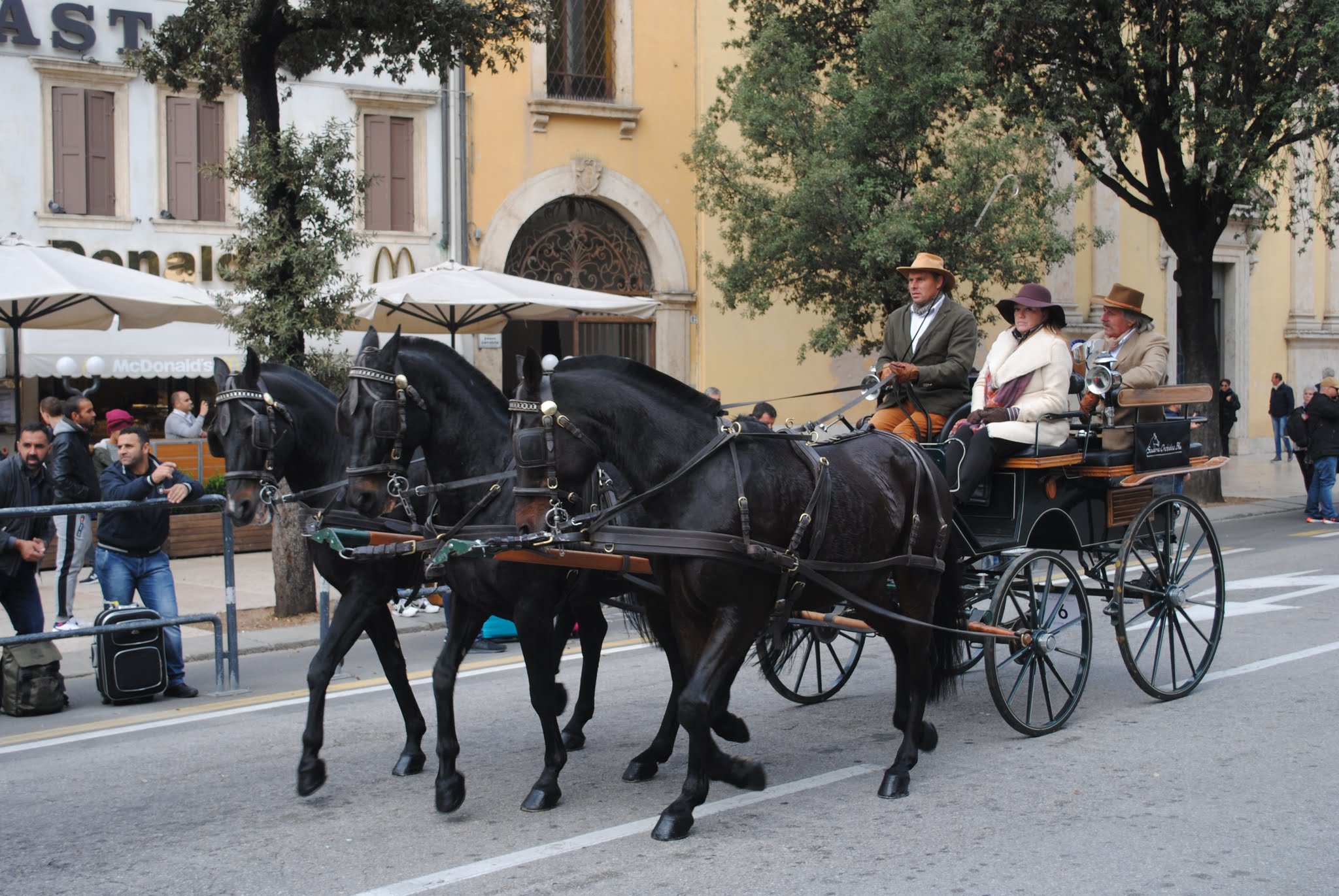 Horse Riding in Verona, Italy
