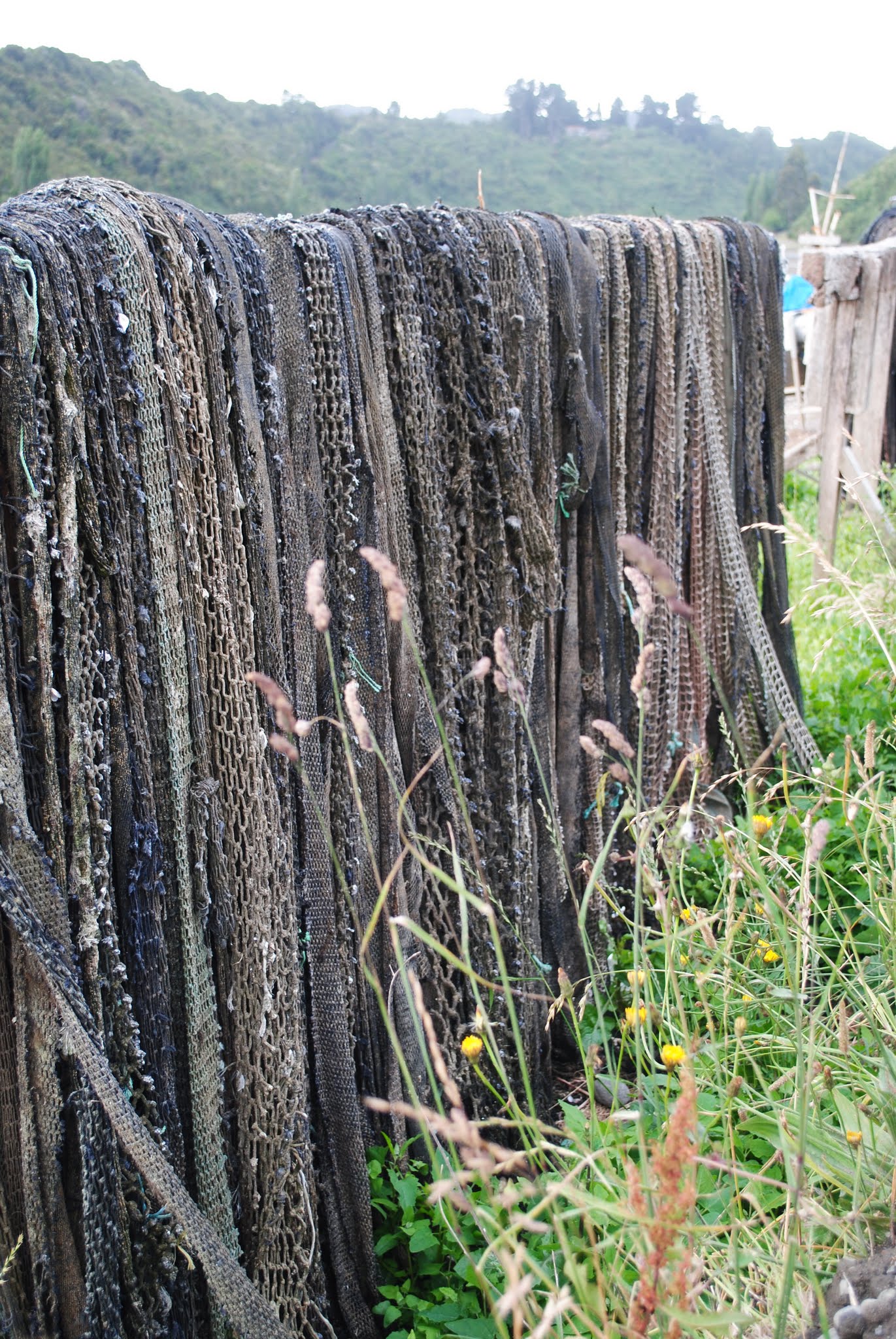 Old boats and nets in the Chiloe Island (Chile)