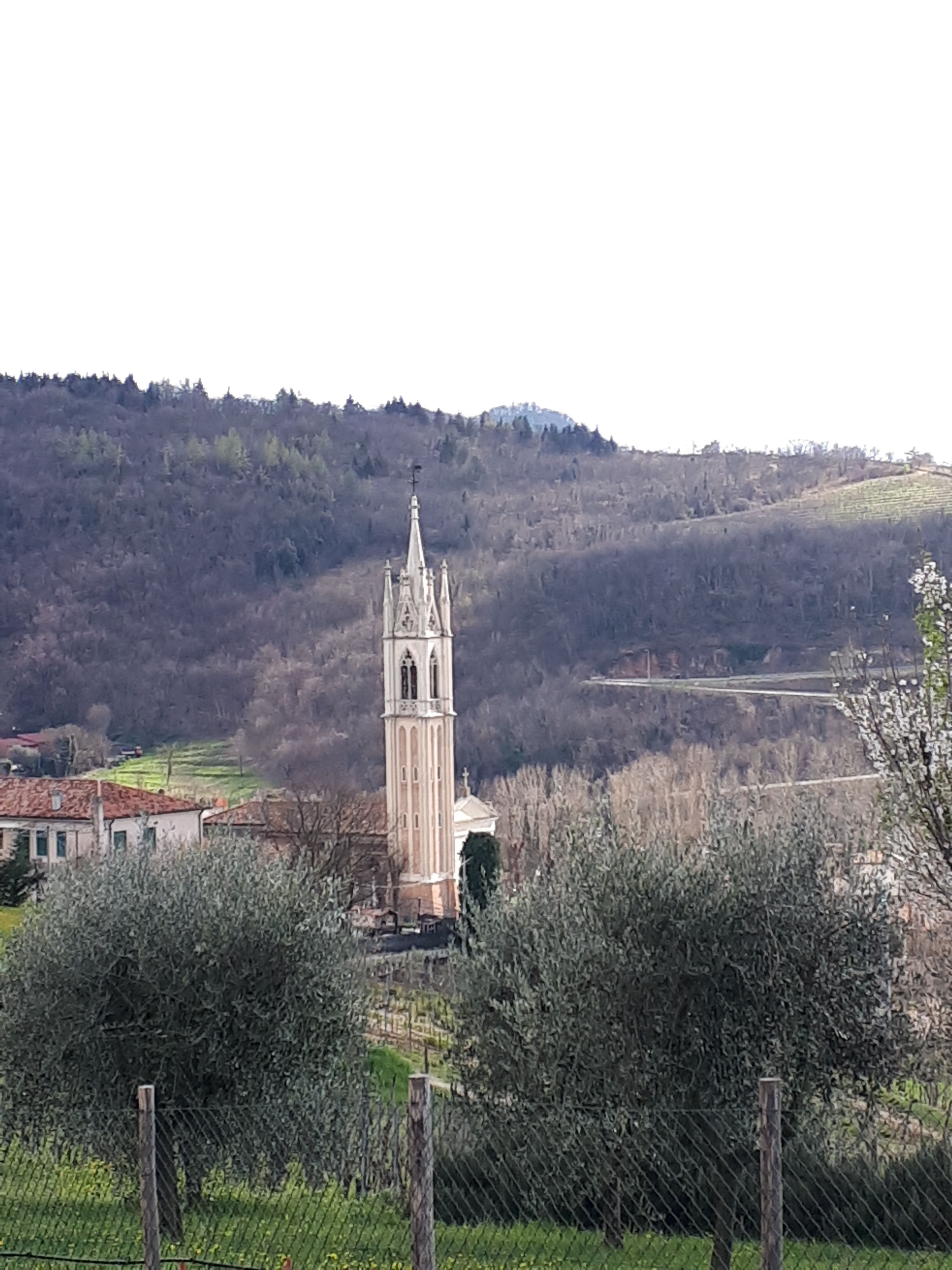 Valle San Giorgio, Colli Euganei, Padova.