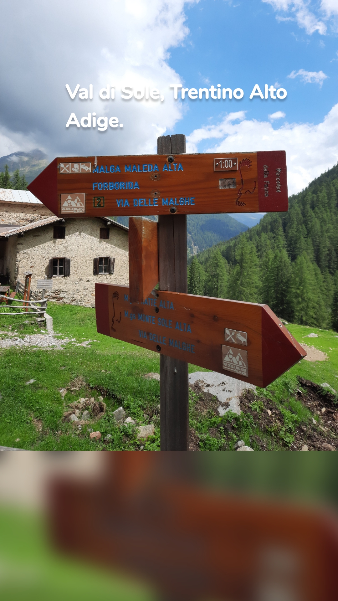 Pian di Rabbi. Trentino Alto Adige.