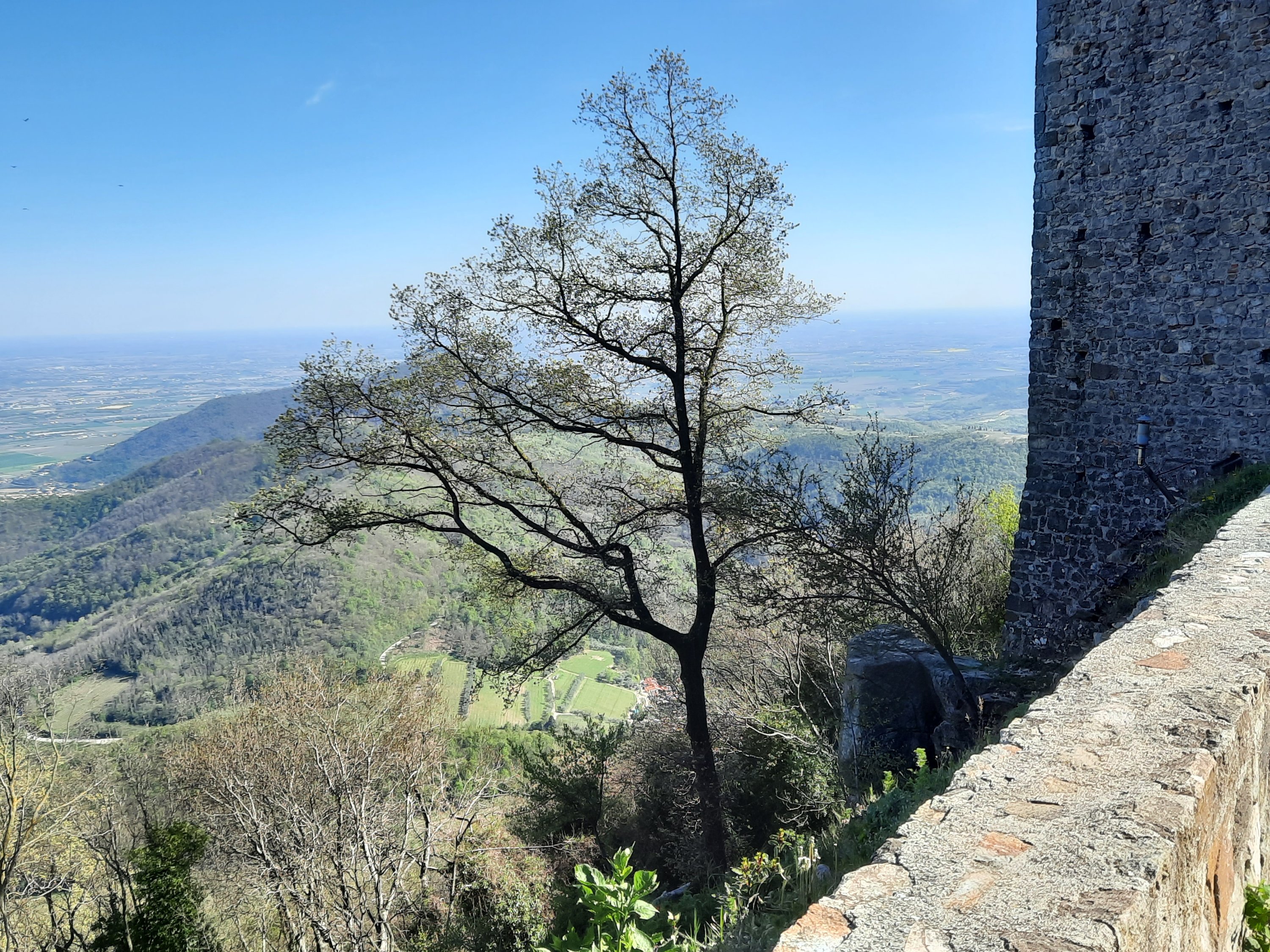Il Monastero degli Olivietani, Colli Euganei, Veneto.