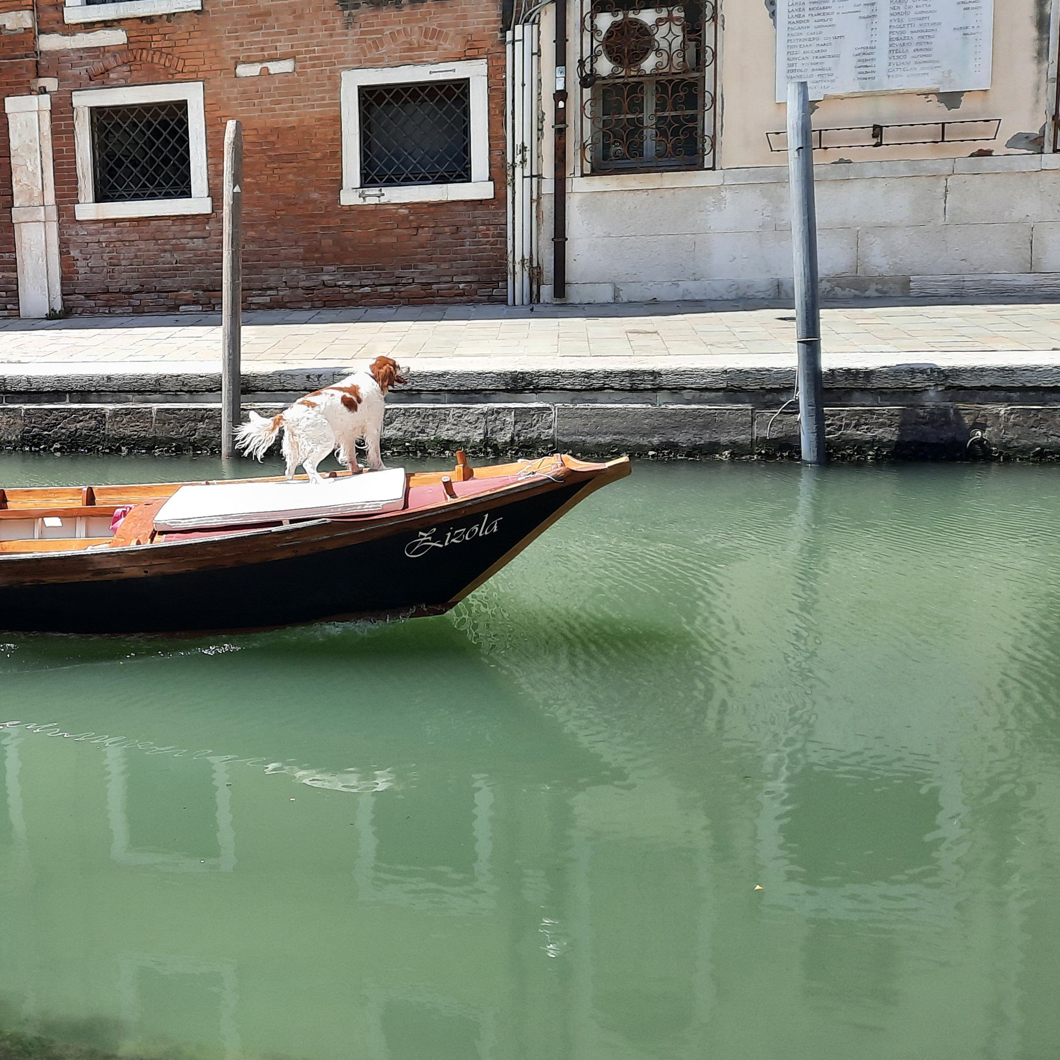 Che bello è girare in barca a Venezia!!!