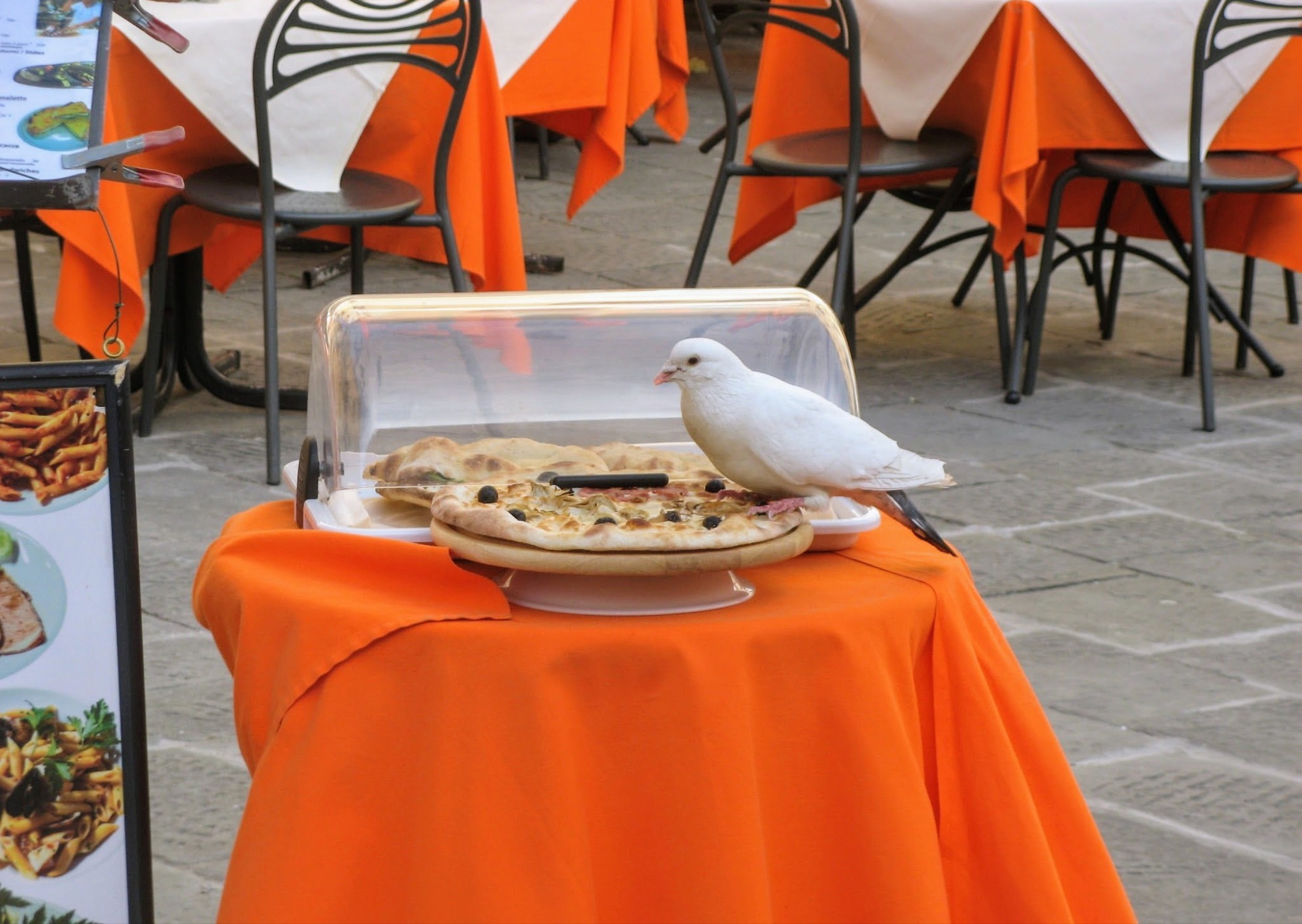 La Paloma y la Pizza…