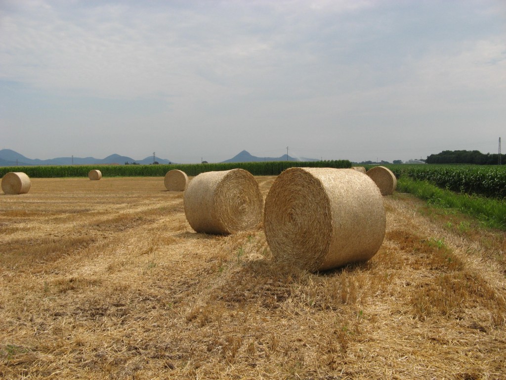Fardos y los Colli&nbsp;Euganei.