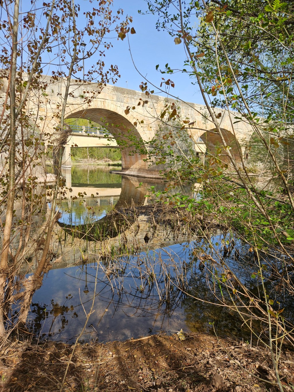 El puente medieval de Lerma. España.