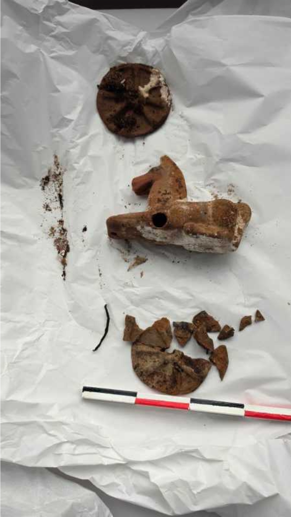 Encuentran el sarcófago intacto de un niño Romano y dentro estában sus juguetes